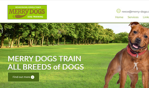 Behavioural Consultancy & Dog Training Service Website Design