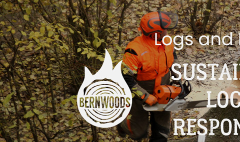 Logs and Firewood Website Site Design